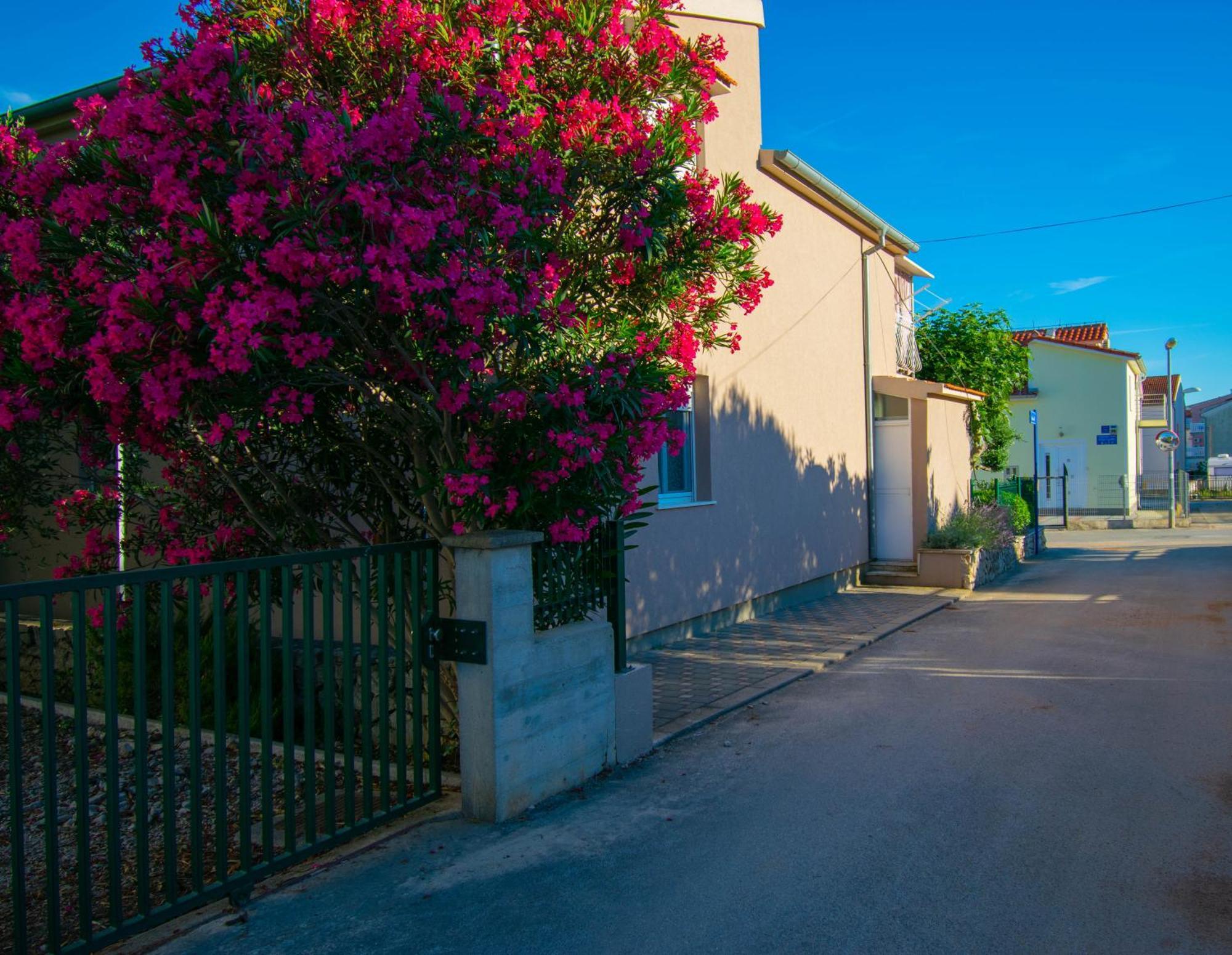 Apartments Anita Frane Vodice Luaran gambar